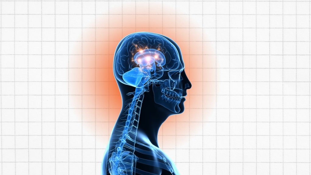 الحاسة السادسة بين الحقيقة والخيال